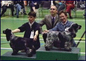 Dutch Spaniel Club 2004