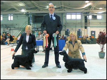 Finnish Spaniel Club 2008