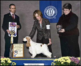 Spartanburg KC Best of Breed